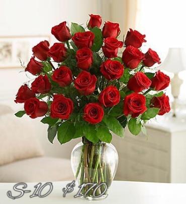 AMAZING 2 DOZEN RED ROSES