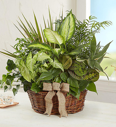 GARDEN LOVE BASKET PLANTER